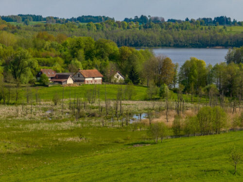 Opłacalne pomysły na biznes na wsi w 2023 roku